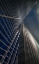 Picture of CALATRAVA LINES AT THE BLUE HOUR
