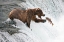 Picture of UNLUCKY  JUMP