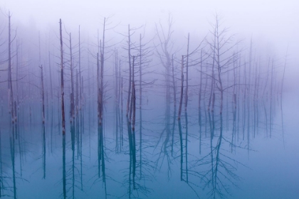 Picture of MISTY BLUE POND