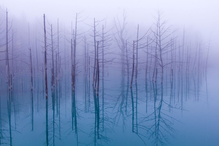 Picture of MISTY BLUE POND