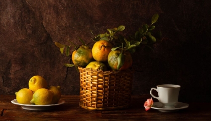 Picture of STILL LIFE WITH LEMONS-ORANGES AND A ROSE