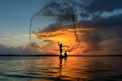 Picture of NETS IN SUNSET