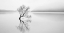 Picture of SERENITY