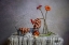 Picture of STILL LIFE