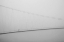 Picture of FROM DISTANCE