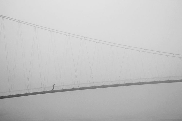 Picture of FROM DISTANCE