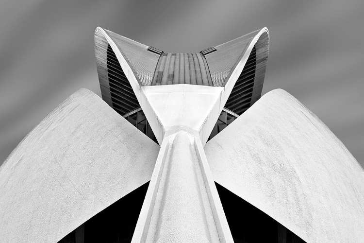 Picture of CALATRAVA