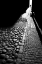 Picture of NARROW STREET