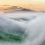 Picture of FOGGY MORNING