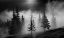 Picture of MISTY FOREST