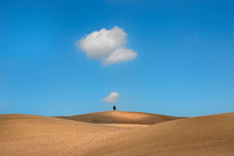 Picture of TUSCANY