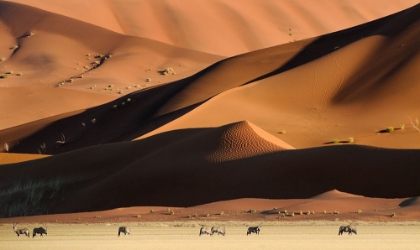 Picture of NAMIB DUNES