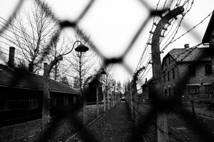 Picture of BEHIND THE FENCES - AUSCHWITZ I