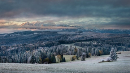 Picture of FIRST TOUCH OF WINTER