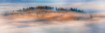 Picture of IN THE MORNING MISTS