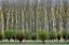 Picture of LAYERS