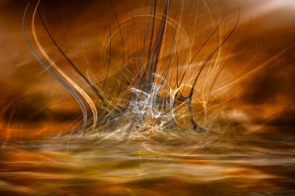 Picture of THE RISING