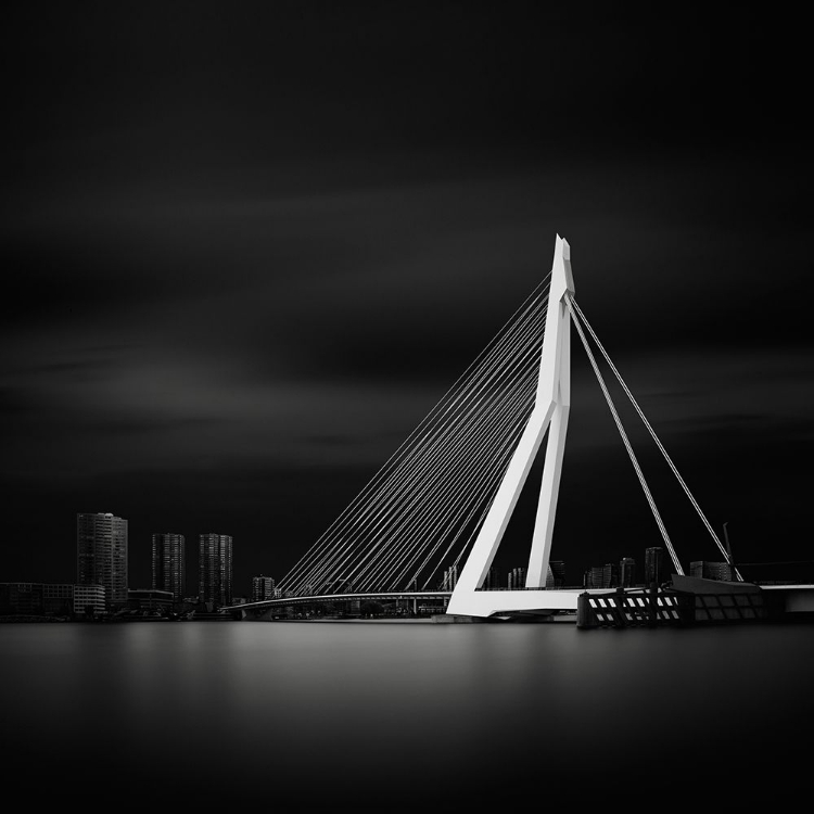 Picture of ERASMUSBRUG