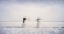 Picture of YOU AND I