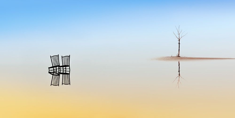 Picture of TWO CHAIRS AND A TREE