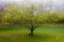 Picture of THE CAT BY THE TREE