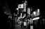 Picture of STREET OF THE WORLD - TOKYO