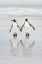 Picture of FRIENDS
