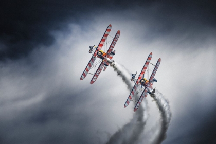 Picture of WINGWALKERS