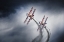 Picture of WINGWALKERS