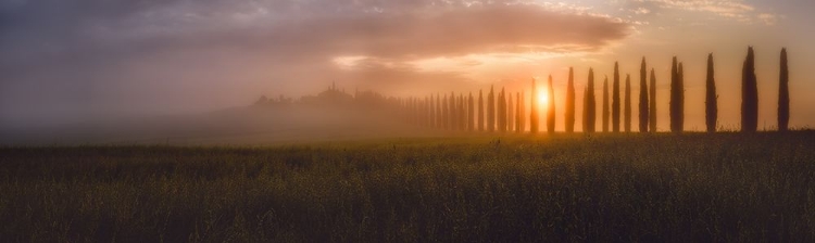 Picture of TUSCANY SUNRISING