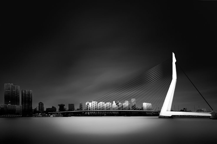 Picture of ERASMUS BRIDGE ROTTERDAM