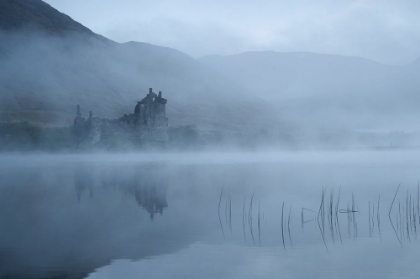 Picture of MYSTERIOUS
