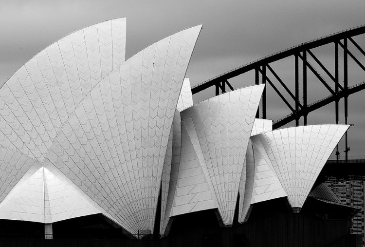 Picture of OPERA HOUSE SYDNEY