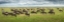 Picture of GREAT MIGRATION IN SERENGETI PLAINS
