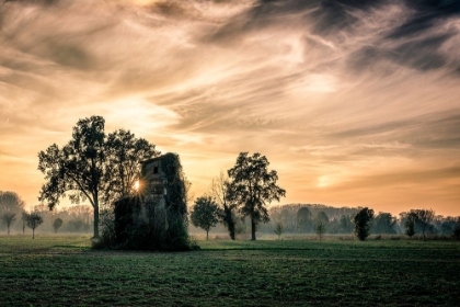 Picture of OLD ABANDONED HOUSE COVERED BY VEGETATION AT SUNSET