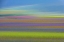 Picture of UNTITLED