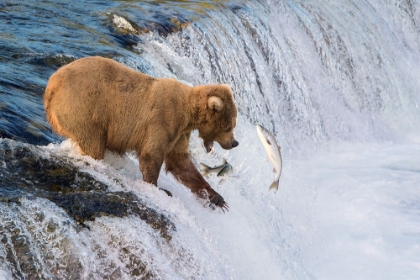 Picture of FISHING ON THE EDGE