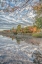 Picture of BAYPORT FALL
