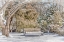 Picture of ARBORETUM 1