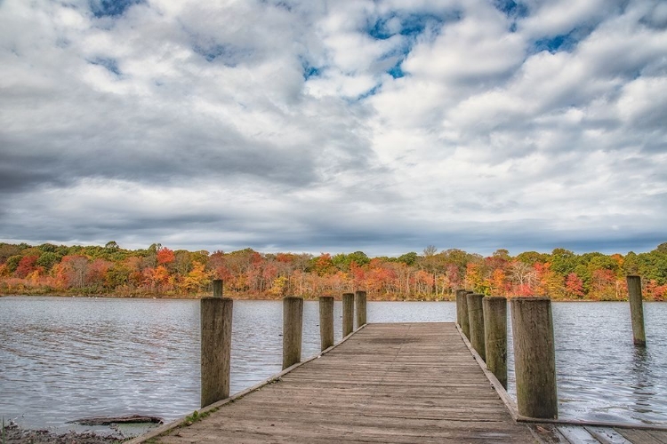 Picture of BLYDEBBURG PARK