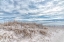 Picture of LIGHTHOUSE BEACH