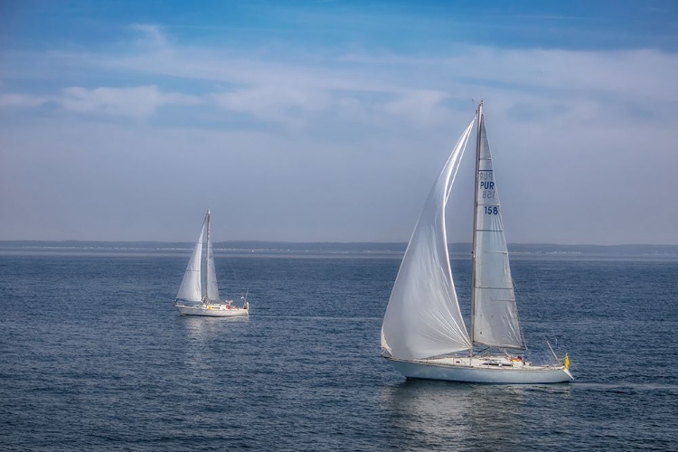 Picture of SAIL BOATS