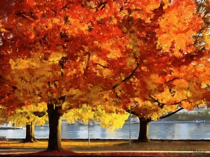 Picture of AUTUMN TREES IN THE CITY III