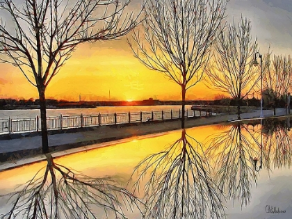 Picture of MIRRORED TREES BY SUNSET I