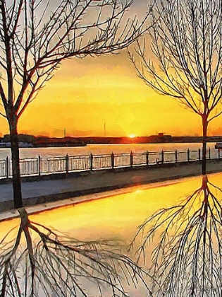 Picture of MIRRORED TREES BY SUNSET II
