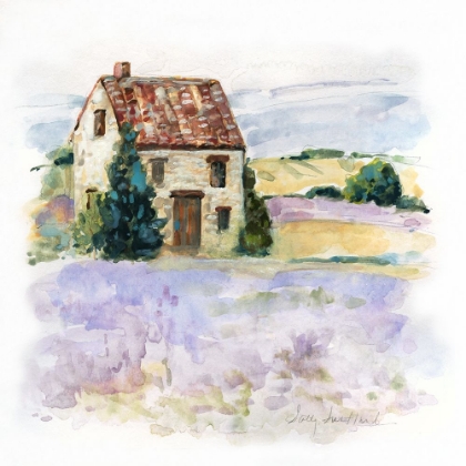 Picture of LAVENDER COUNTRY I