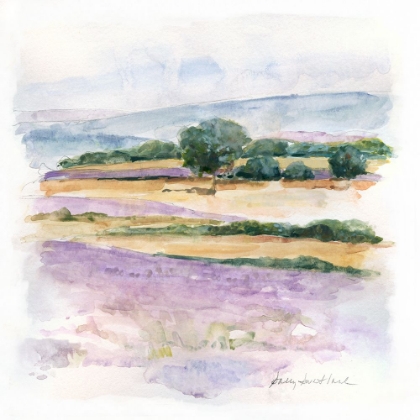 Picture of LAVENDER COUNTRY III