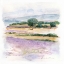Picture of LAVENDER COUNTRY III