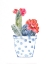 Picture of CACTUS AND SUCCULENT BLOOMS II