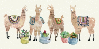 Picture of LLAMA PARTY